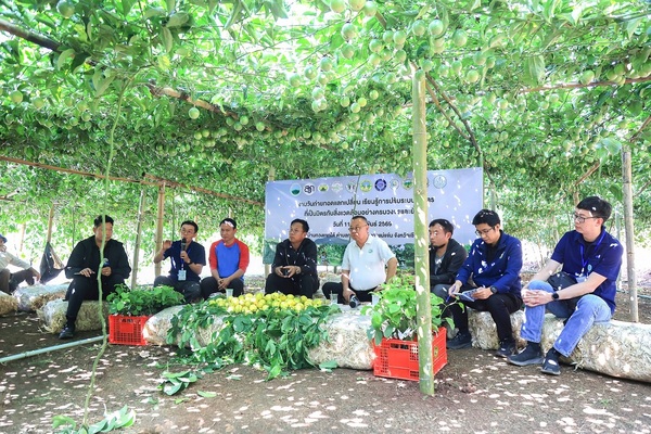 สวพส. ขยายองค์ความรู้ปรับระบบเกษตรบนพื้นที่สูง สู่เกษตรที่เป็นมิตรกับสิ่งแวดล้อมลดการเผา แก้ปัญหา PM 2.5 อย่างยั่งยืนในอำเภอแม่แจ่ม