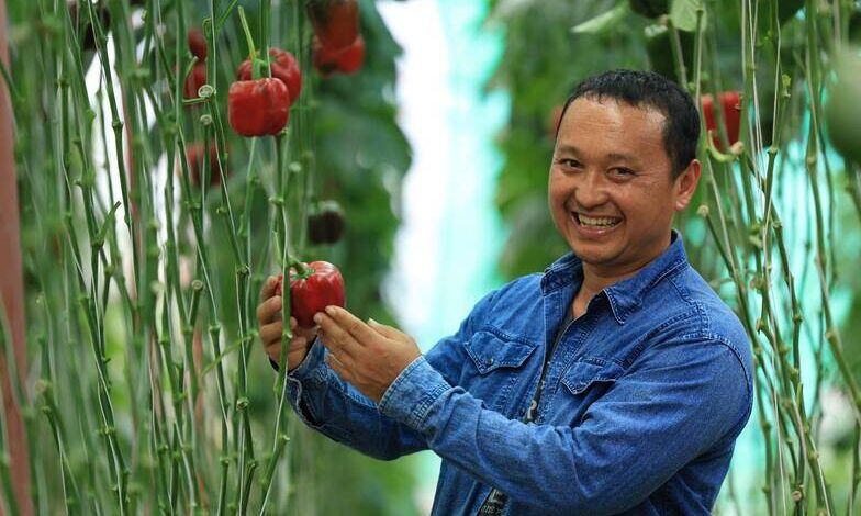 “สวพส.ส่งเสริมแหล่งน้ำขนาดเล็ก แก้ภัยแล้งพื้นที่สูง”