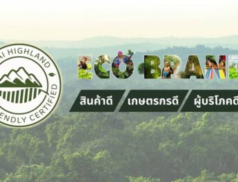 ECO-BRAND กาแฟใต้ร่มไม้ กับภารกิจคืนลมหายใจให้ผืนป่าและผู้คน